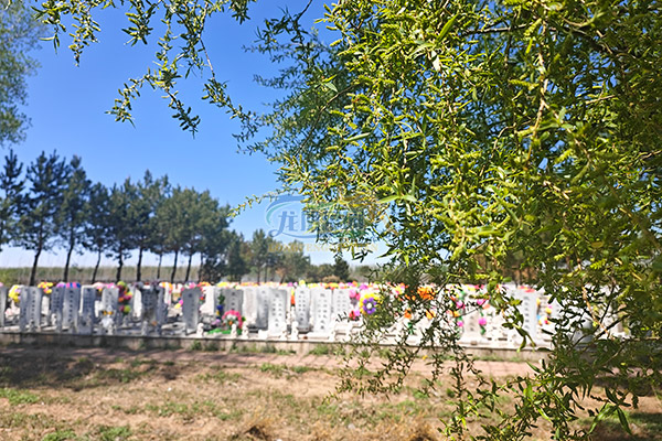 沈阳公墓在小年期间提供哪些特别服务？