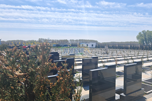 沈阳墓地葬礼白事一般几天？流程与时长解析！