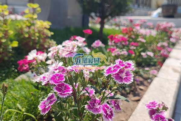 沈阳龙凤寝园，生命故事永恒延续的静谧净土